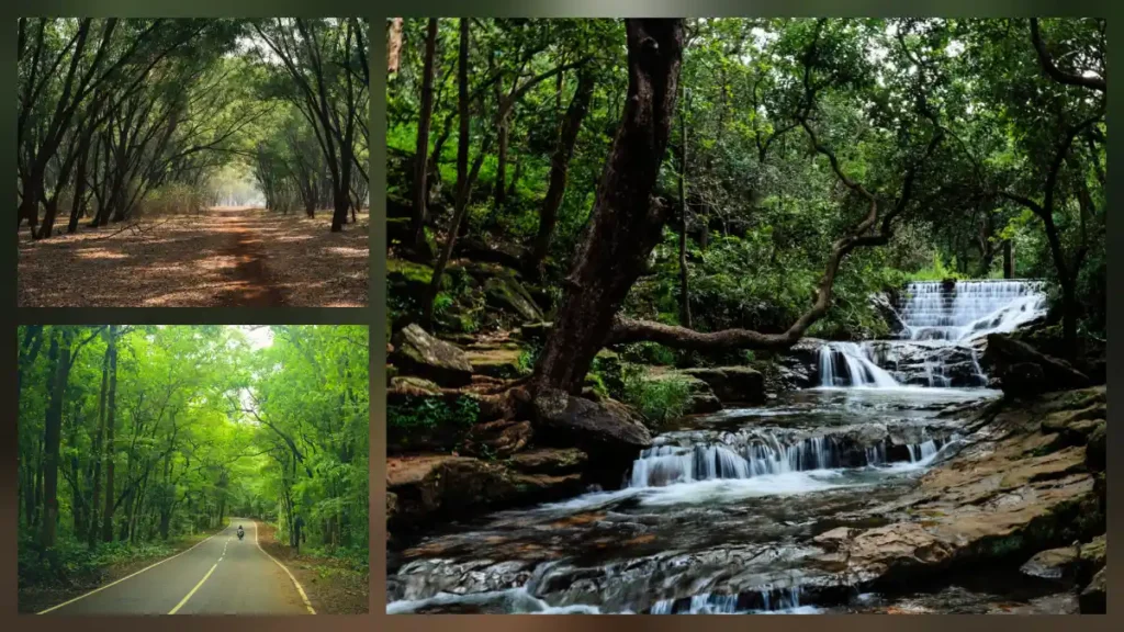 Maredumilli forest and waterfall scenic view